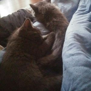 Meet your Posher, Ashley