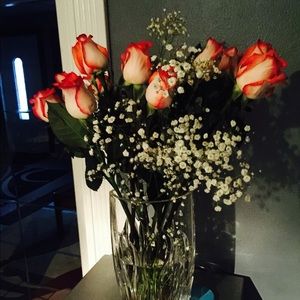 Meet your Posher, Lucy