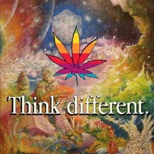 Meet your Posher, Cassidy