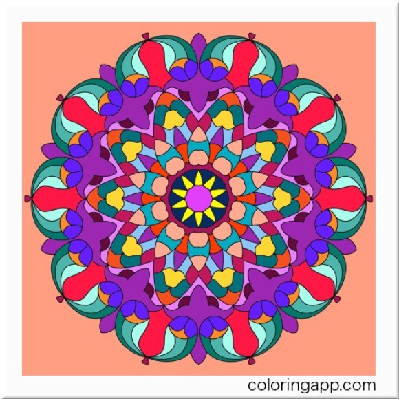 Meet your Posher, Ghazaleh - Picture 1 of 1