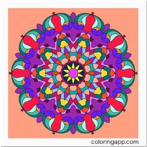 Meet your Posher, Ghazaleh