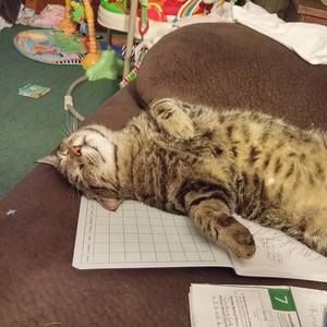 Meet your Posher, April