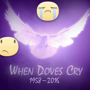 Meet your Posher, Doris