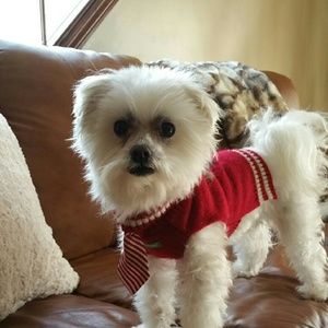 Meet your Posher, Toni-lee