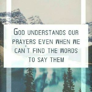 Meet your Posher, Cynthia