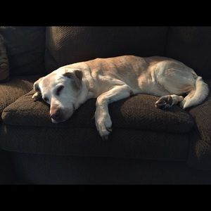 Meet your Posher, Heather