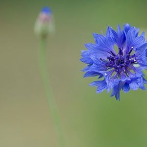 Meet your Posher, Kyungmi