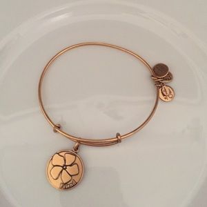 Alex & Ani Bracelet