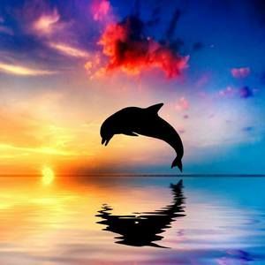 Meet your Posher, Candy