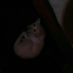 Meet your Posher, Cindy