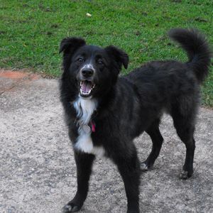 Meet your Posher, Barbara