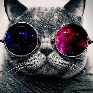 Meet your Posher, Arielle