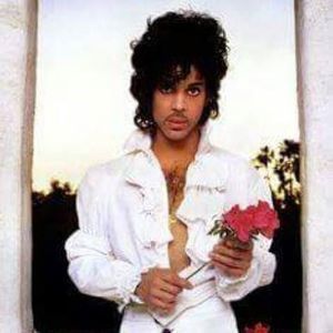 Meet your Posher, Natasha