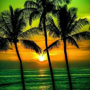 Meet your Posher, Pauline