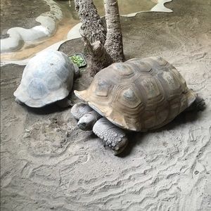 Meet your Posher, Juli