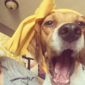 Meet your Posher, Jackie