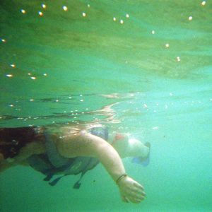 Meet your Posher, Caroline