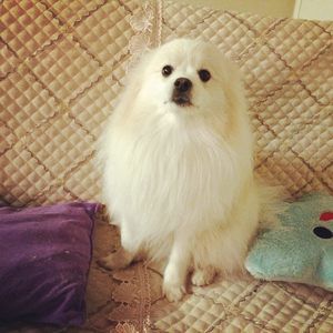 Meet your Posher, Claire