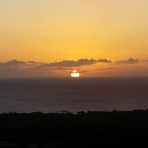 Meet your Posher, Raquel