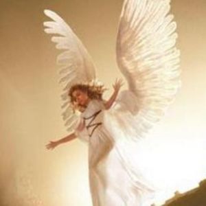 Meet your Posher, Marleny