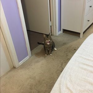 Meet your Posher, Daisy