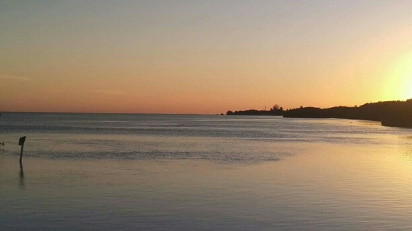 Meet your Posher, Stephanie - Picture 3 of 4