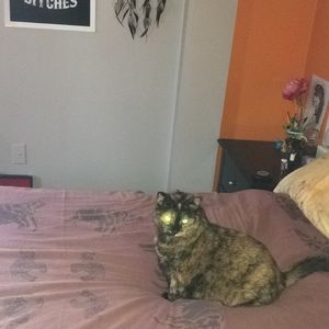 Meet your Posher, Allison