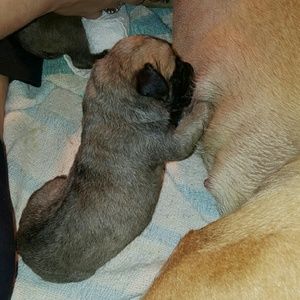 Meet your Posher, Barb