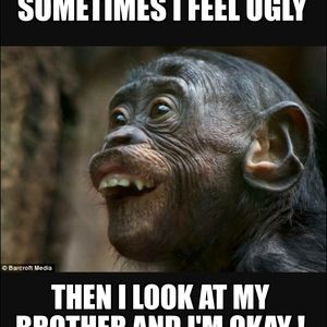 Meet your Posher, Cheyenne