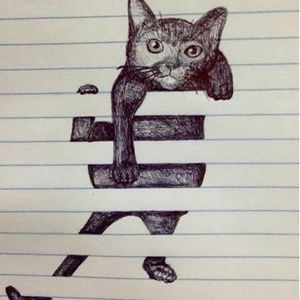 Meet your Posher, Israel