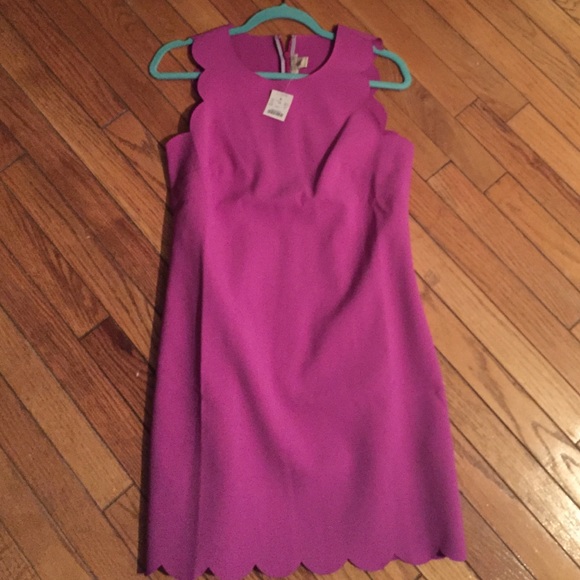 J. Crew Dresses & Skirts - FINAL MARK DOWN! Scallop trimmed dress