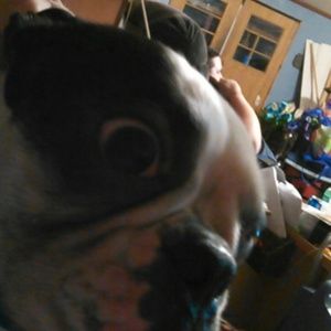 Meet your Posher, Lesley