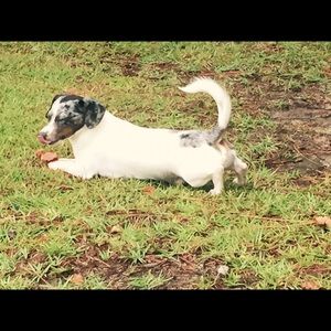 Meet your Posher, Tara