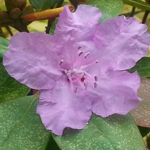 Meet your Posher, Jane