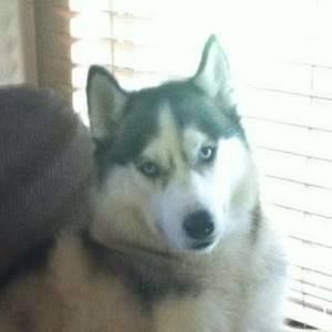 Meet your Posher, Pam