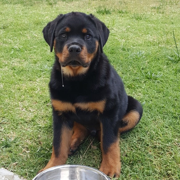 ❤❤ MAKE ME AN OFFER ❤❤ - Picture 4 of 5