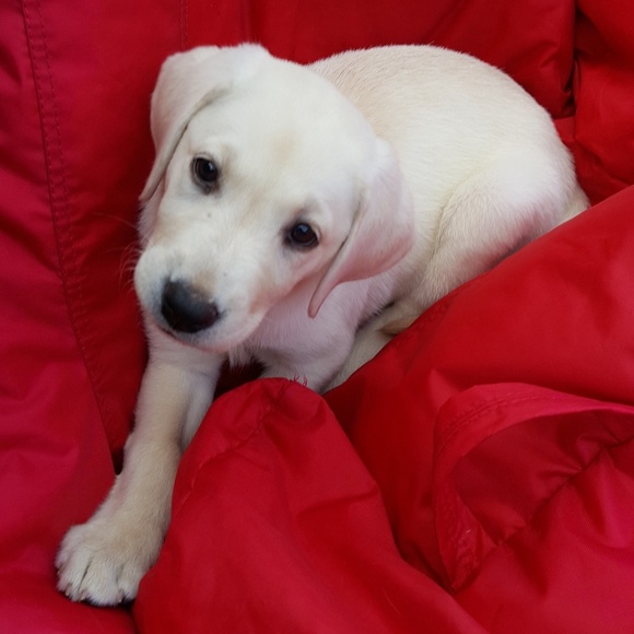 ❤❤ MAKE ME AN OFFER ❤❤ - Picture 5 of 5