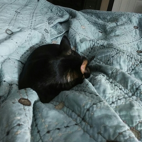 Meet your Posher, Linda