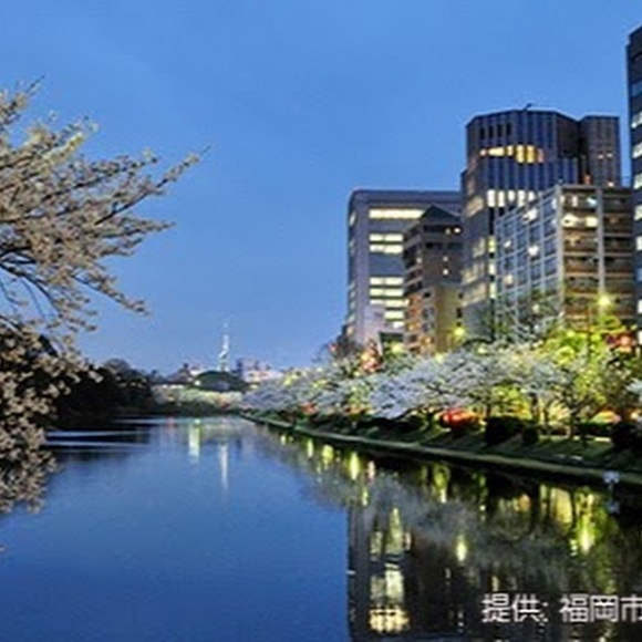 Meet your Posher, Tonya