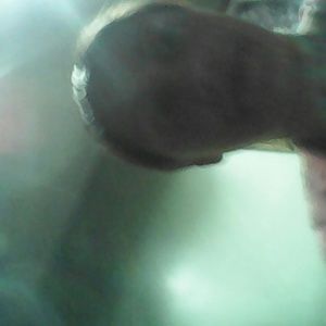 Meet your Posher, Claudia