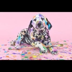 Meet your Posher, Mogens