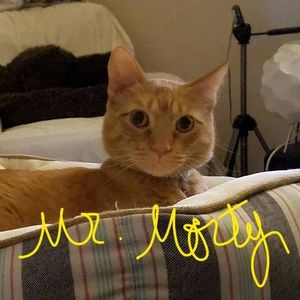 Meet your Posher, Amy