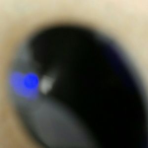 Meet your Posher, Gina