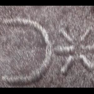 Meet your Posher, Patti jo