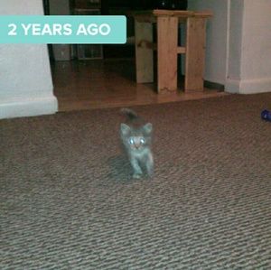 Meet your Posher, Jessica