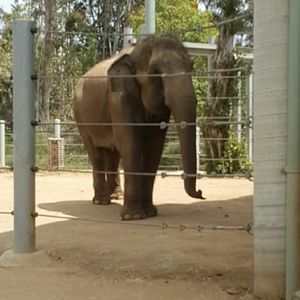 Meet your Posher, Mei