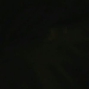 Meet your Posher, Darla