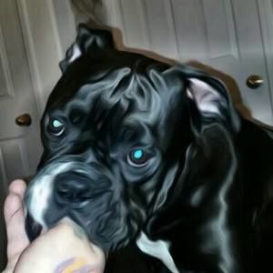 Meet your Posher, Ethan