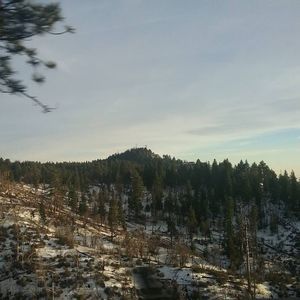 Meet your Posher, Juventino