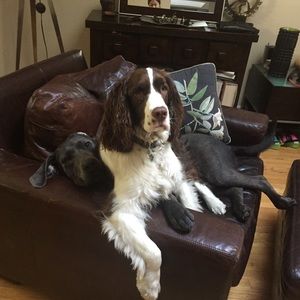 Meet your Posher, Lisa